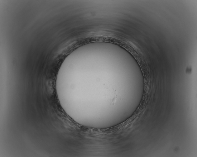 X0000093410774200710120915