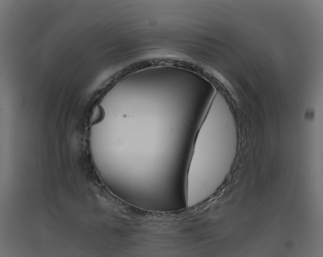 X0000093410775200710120915