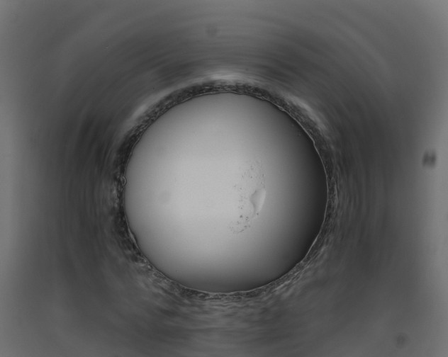 X0000093410776200710120915