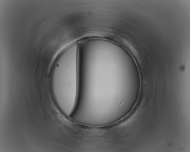 X0000093410779200710120915