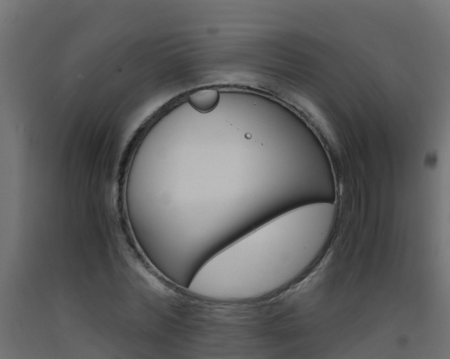 X0000093410780200710120915