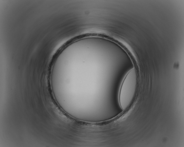 X0000093410783200710120915
