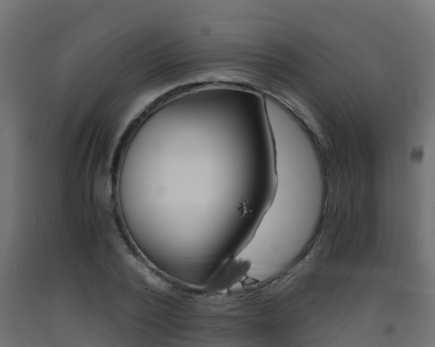 X0000093410784200710120915