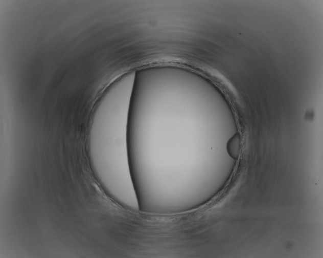 X0000093410785200710120915