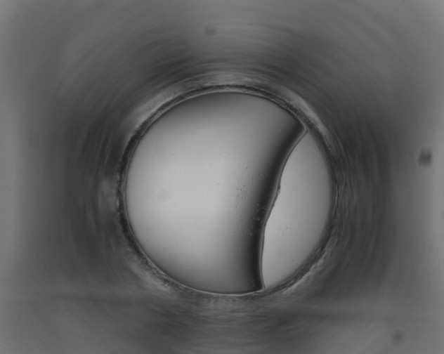 X0000093410786200710120915