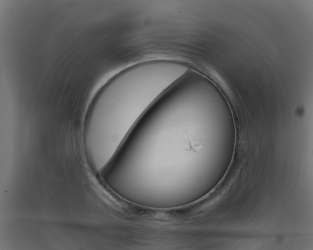 X0000093410787200710120915