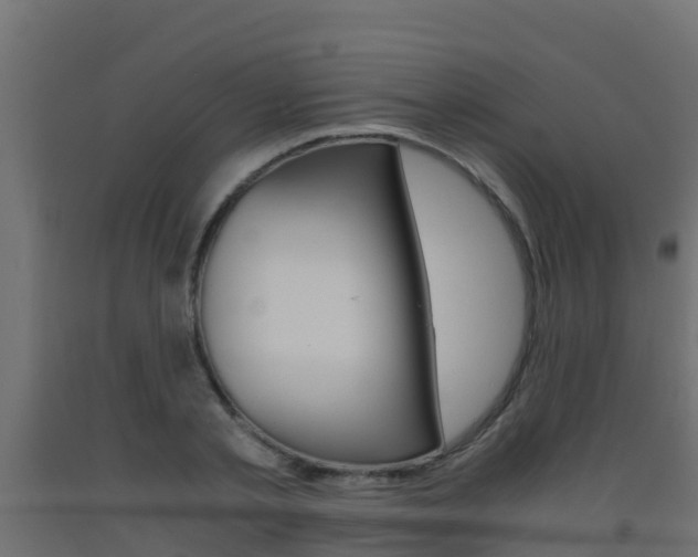 X0000093410789200710120915