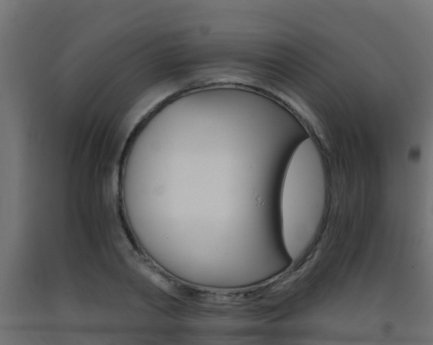 X0000093410790200710120915