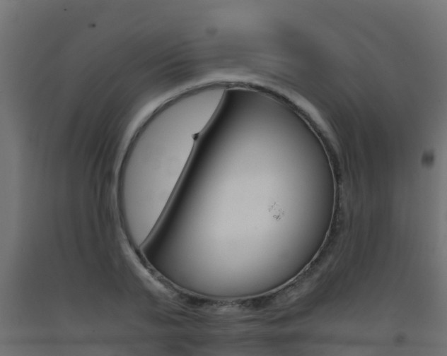 X0000093410791200710120915