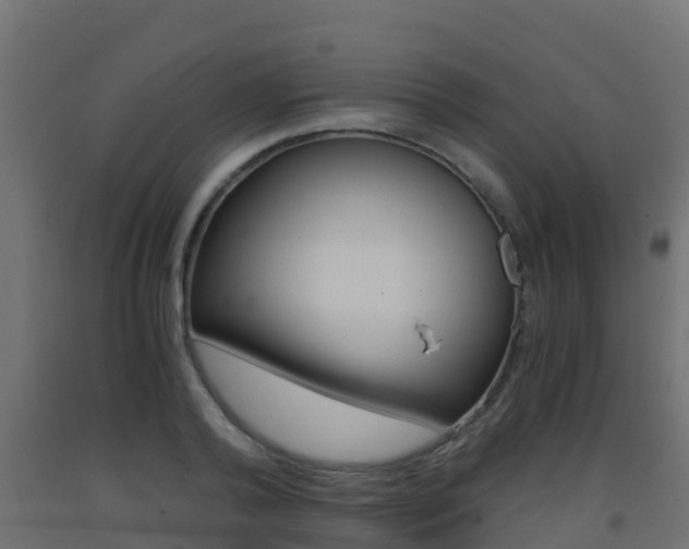 X0000093410792200710120915