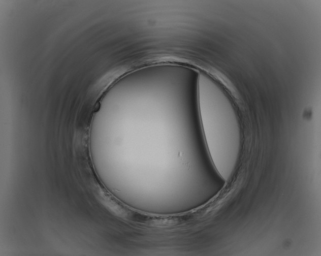 X0000093410793200710120915