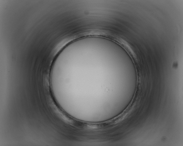 X0000093410794200710120915