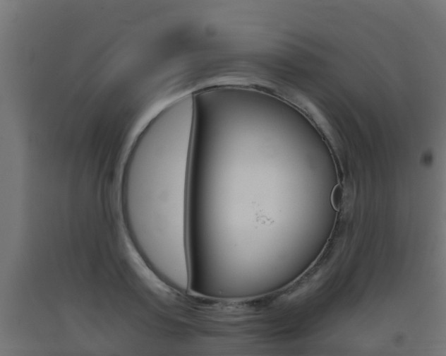 X0000093410795200710120915