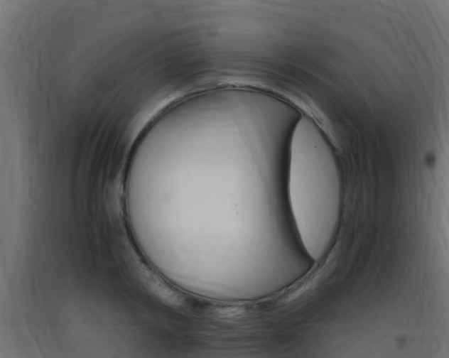 X0000093410798200710120915