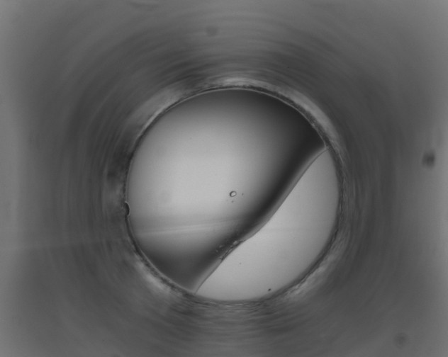 X0000093410801200710120915