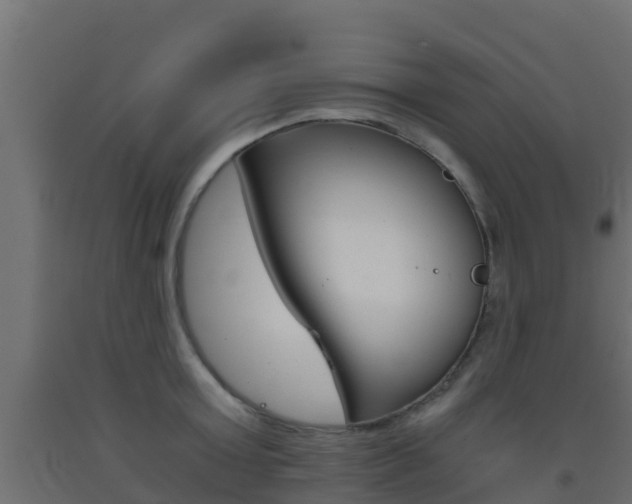 X0000093410803200710120915