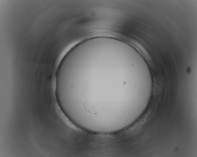 X0000093410804200710120915