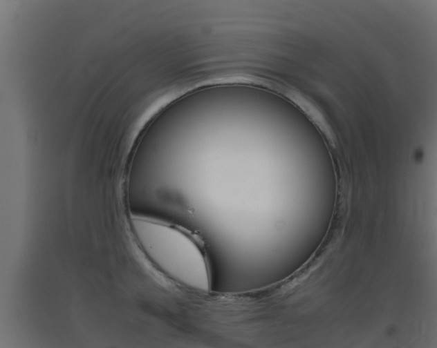 X0000093410805200710120915