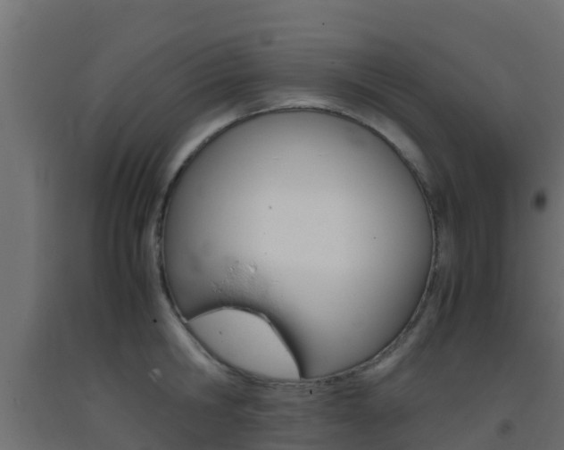 X0000093410806200710120915