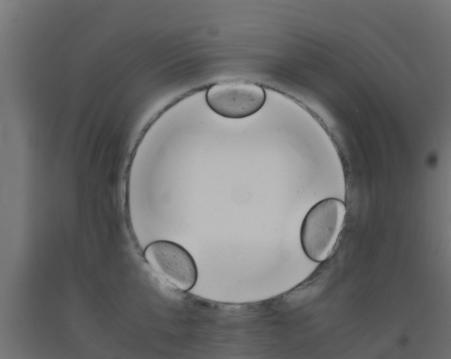 X0000093410807200710120915