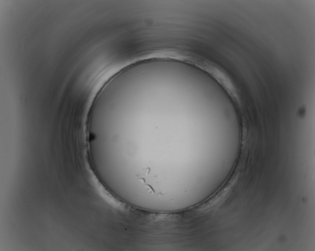 X0000093410808200710120915