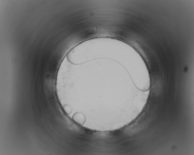 X0000093410810200710120914