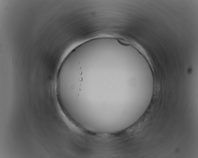 X0000093410811200710120914