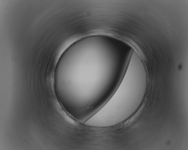 X0000093410812200710120914