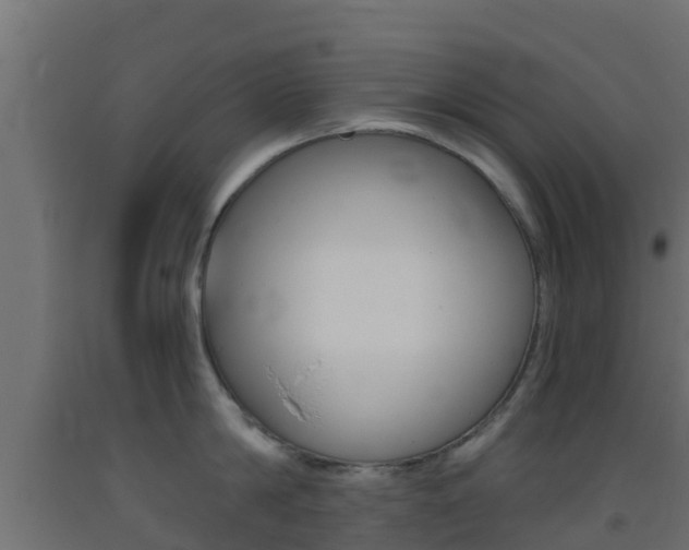 X0000093410814200710120914