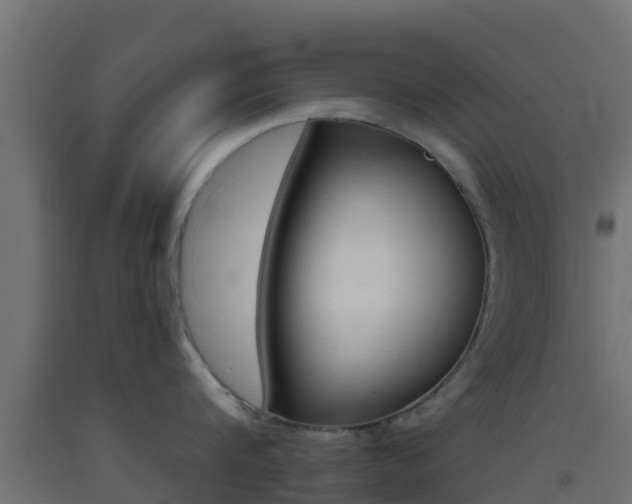 X0000093410816200710120914