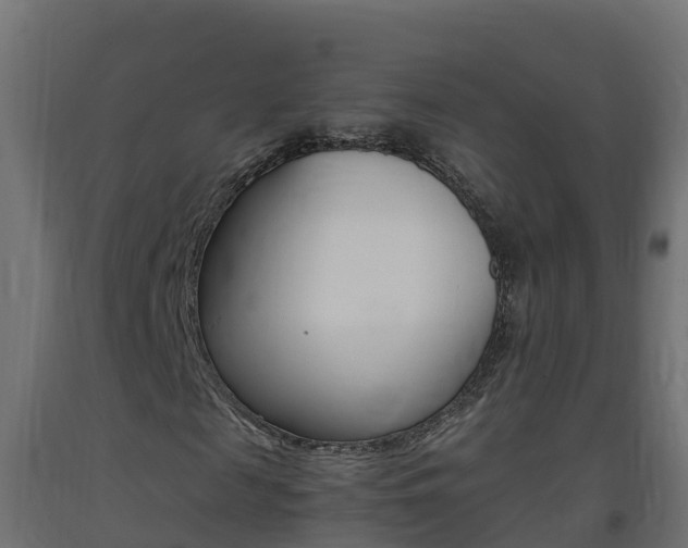 X0000093410817200710120914
