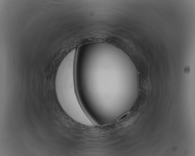 X0000093410818200710120914