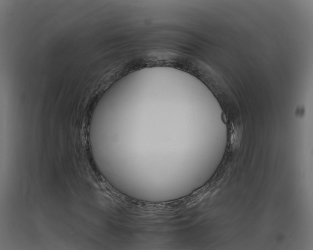 X0000093410819200710120914