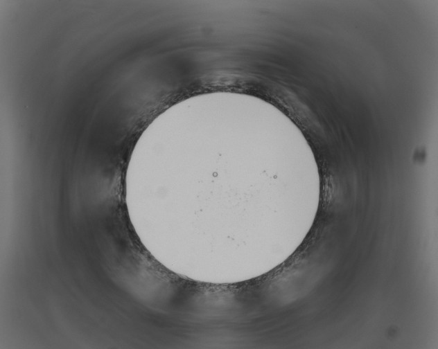 X0000093410820200710120914