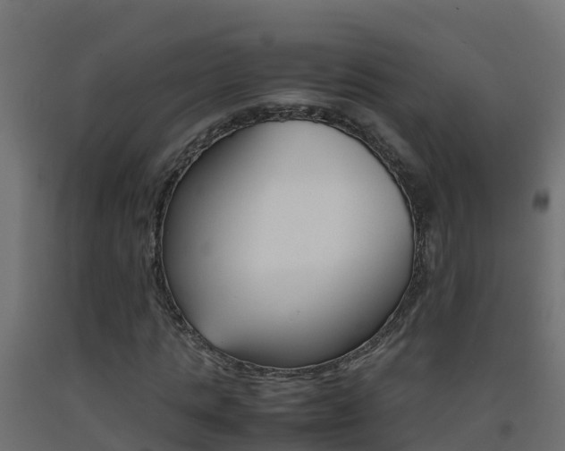 X0000093410821200710120914