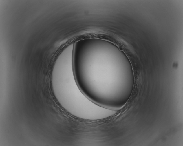 X0000093410822200710120914