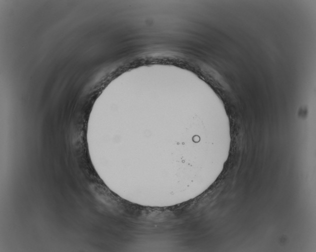X0000093410824200710120914