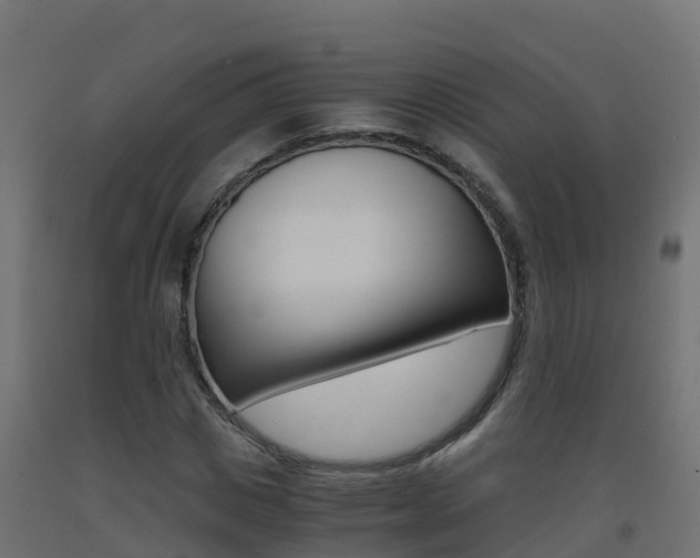 X0000093410825200710120914