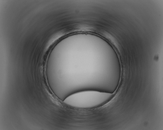 X0000093410827200710120914