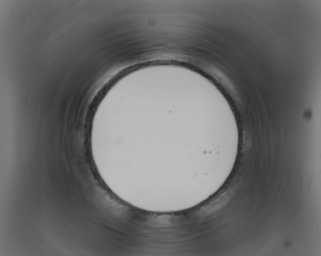 X0000093410828200710120914
