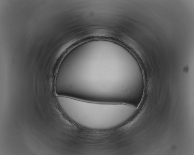 X0000093410829200710120914