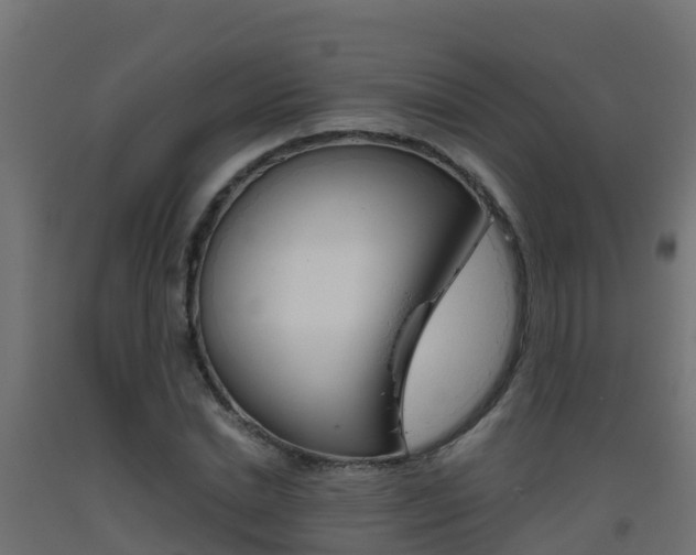 X0000093410830200710120914