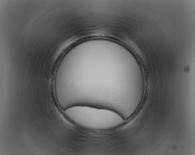 X0000093410831200710120914
