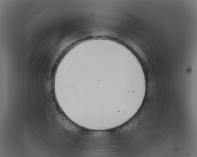 X0000093410832200710120914