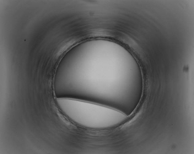 X0000093410833200710120914