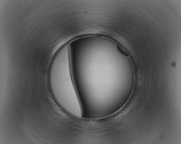 X0000093410834200710120914