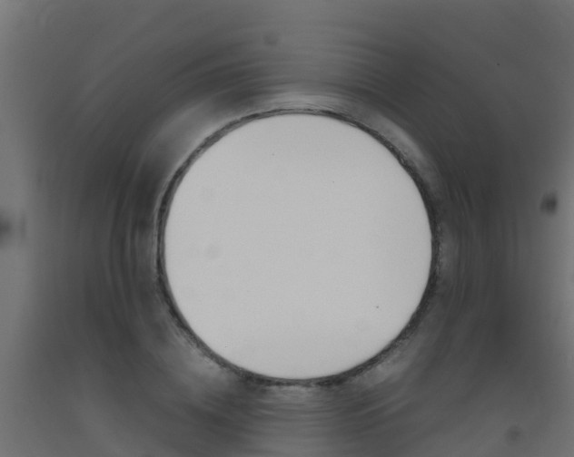 X0000093410836200710120914