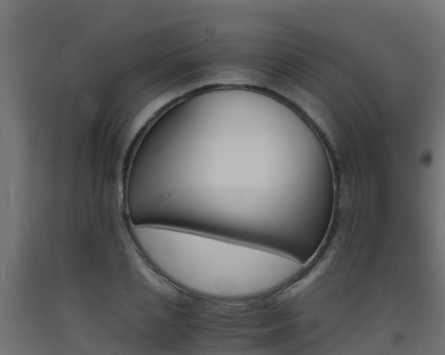 X0000093410837200710120914