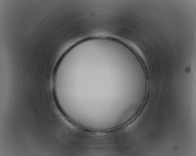 X0000093410839200710120914