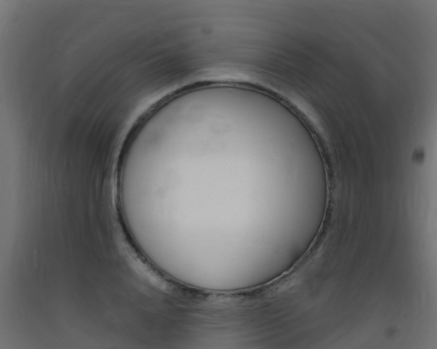 X0000093410840200710120914